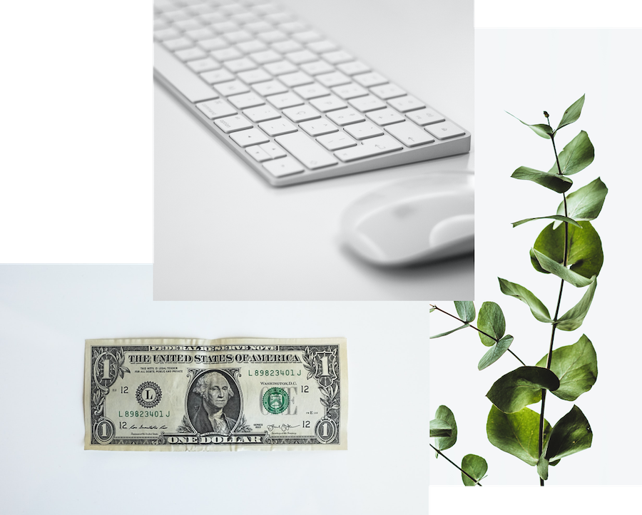 SimpliBank banking items